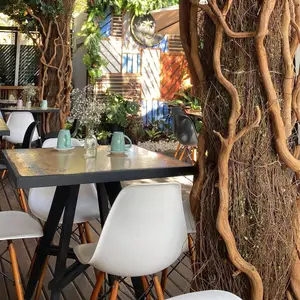 Restaurante Moscú Colima 6