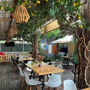 Restaurante Moscú Colima 3