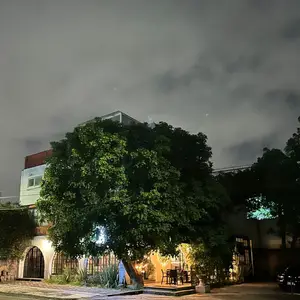 IL VINO Pizza al Forno Puebla 7