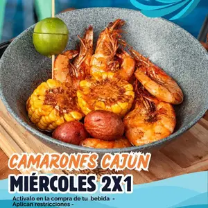 Terraza Bahía Camarón Guadalajara 6
