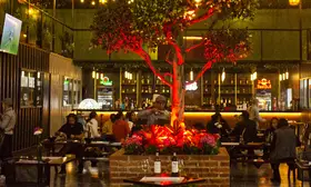Élite Restaurant Café Bar CDMX