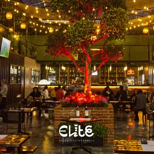 Élite Restaurant Café Bar CDMX 1