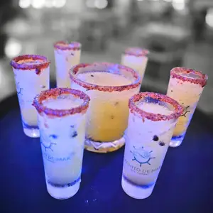 Cachito de Mar Vallarta 9