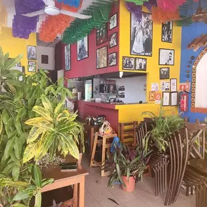 La Coronela Playa del Carmen 7