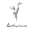 Restaurante Anthurium Lima