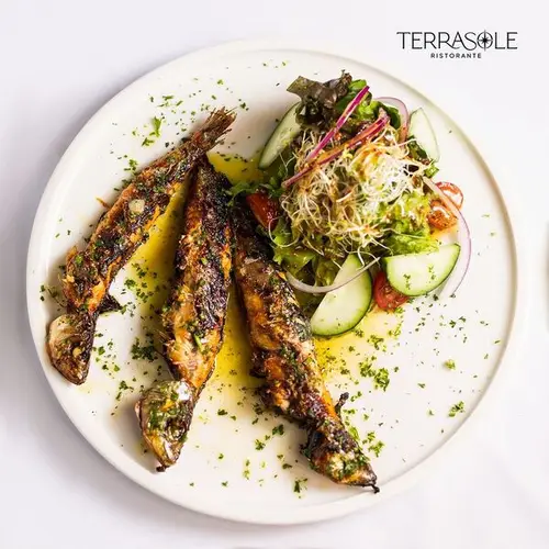 Terrasole Ristorante Condesa - foto 4
