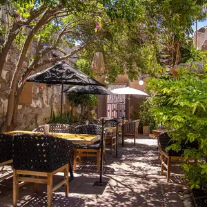 Restaurante Sayil Centro 4