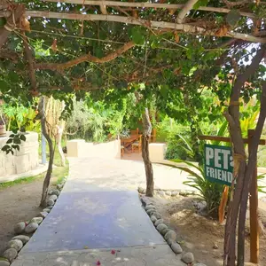 Restaurante Higos y Olivos Los Cabos 7