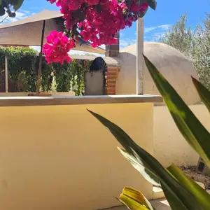 Restaurante Higos y Olivos Los Cabos 9