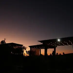 El Mirador Wine & Cocktail Bar El Lobo 7
