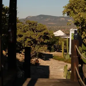 El Mirador Wine & Cocktail Bar El Lobo 9