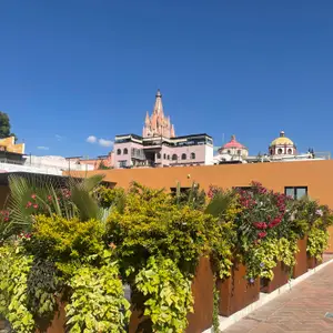 Restaurante Ziracco SMA 7