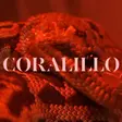 Coralillo Bar Satélite