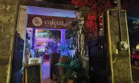 Cafetal 97 Guadalajara