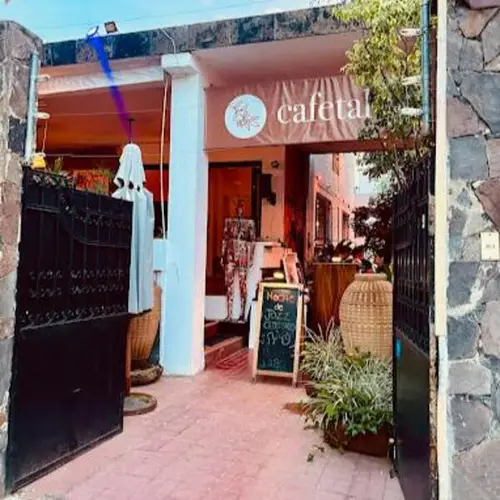 Cafetal 97 Guadalajara - foto 1