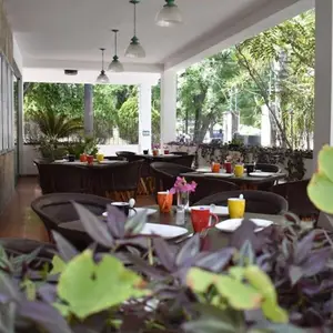 Cafetal 97 Guadalajara 3