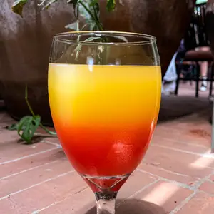 Carola Terraza Querétaro  6