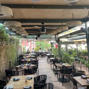 Carola Terraza Querétaro  5