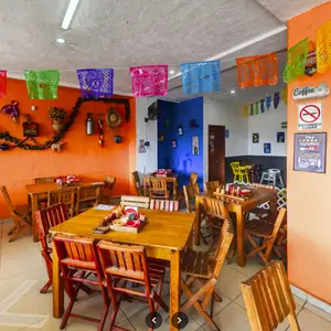 Los Muchachos de Zapopan Jardines del Vergel 3