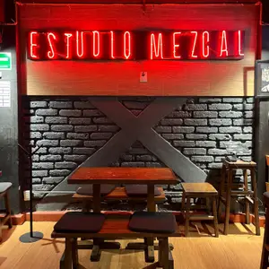 Estudio Mezcal CDMX 9