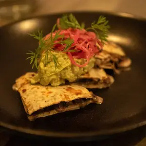 Pipicha Santa Condesa 7