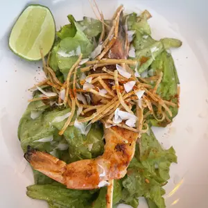 Pipicha Santa Condesa 9