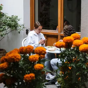 Maratea Coyoacán 8
