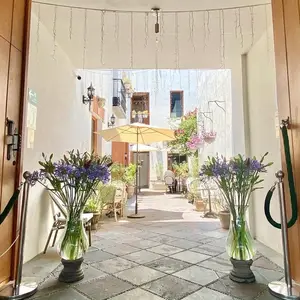 Maratea Coyoacán 3
