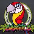 Sayulitros Tlaquepaque