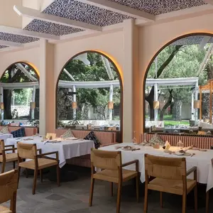Alaia Terraza San Ángel 5