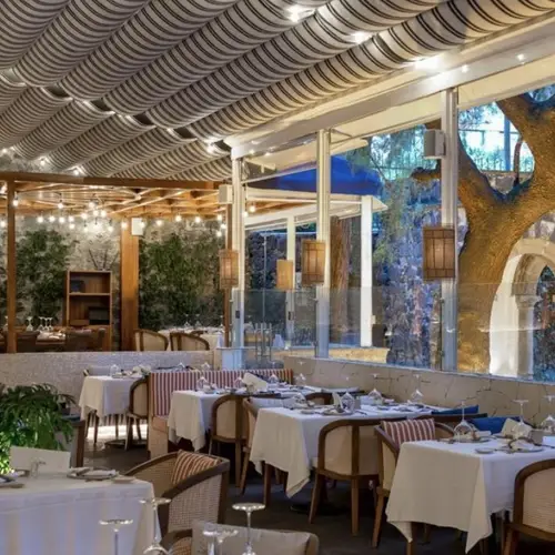 Alaia Terraza San Ángel - foto 1