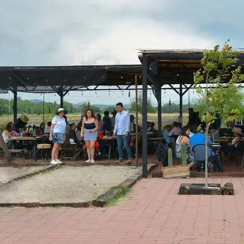 Terruño 57 San Juan del Río - foto 4