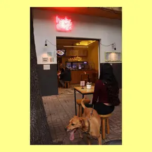 Holy Dog! CDMX 6