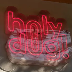 Holy Dog! CDMX 9