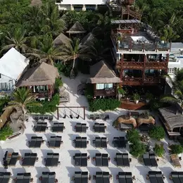 Agave Restaurant & Beach Club - foto 3