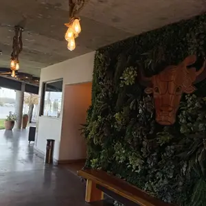 Vacanora Restaurante Boca del Río 5