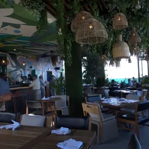 Cabuya Rooftop Condesa 9