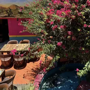 Las Guacamayas Cabo San Lucas 5