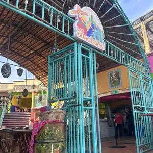 Las Guacamayas Cabo San Lucas 9