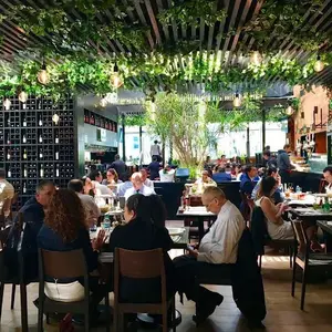 50 Friends Arcos Bosques 6