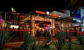 Monkey Business Cancún