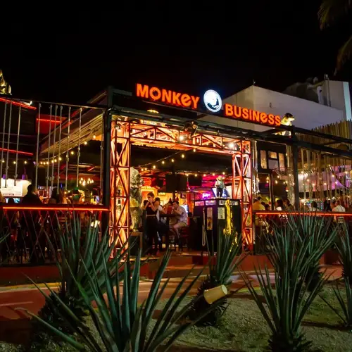 Monkey Business Cancún - foto 1