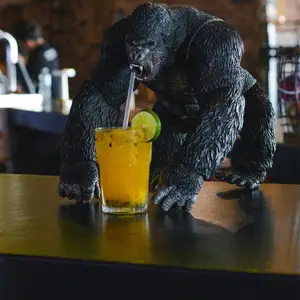 Monkey Business Vallarta 8