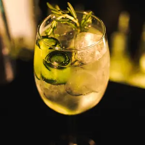 Dalton Gin Bar San José del Cabo 8