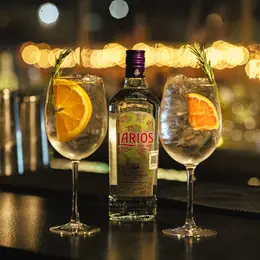 Dalton Gin Bar San José del Cabo - foto 2