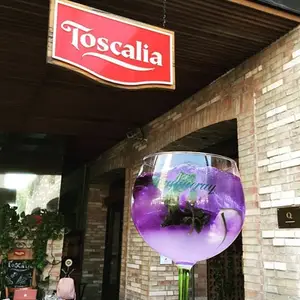 Restaurante Toscalia Puebla 2