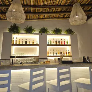 Pescobar Tulum 5