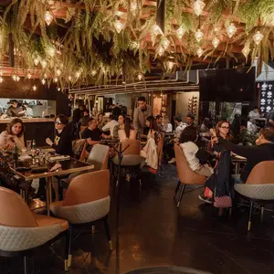 SONO Rooftop CDMX 1