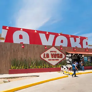 La Vaka Las Americas 3