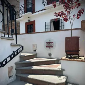 Rosa Amaranto Taxco 7